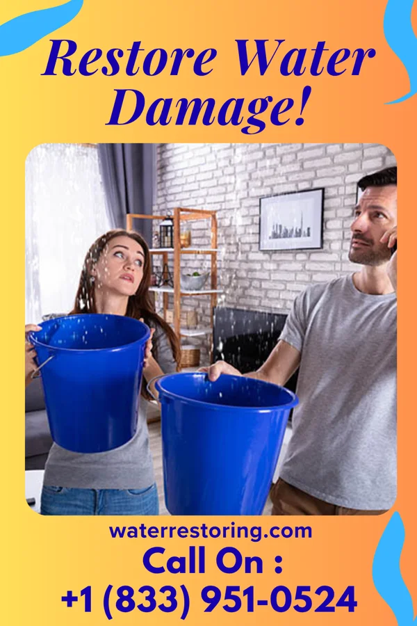 water restoration Prime Water Restoration Experts Kapaau